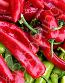 Capsicum annuum 'Crimson Hot'